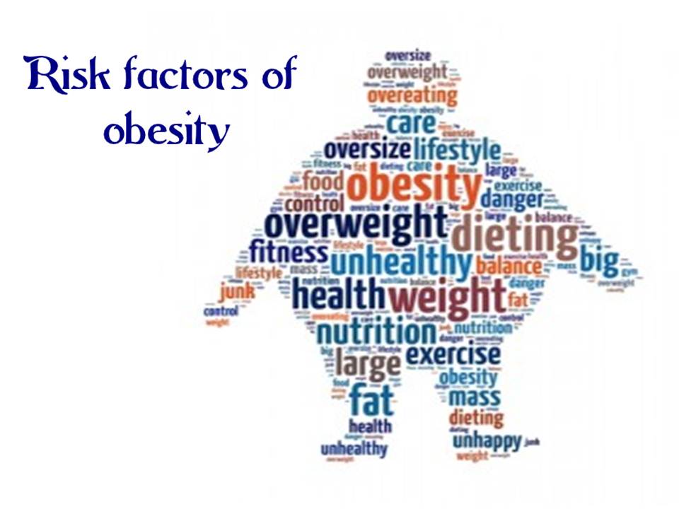 Image result for obesity risk factors